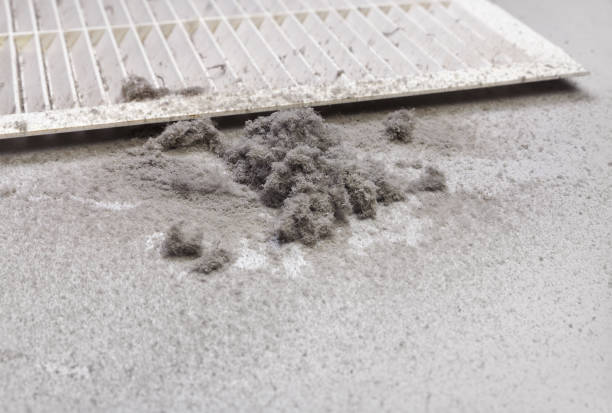 Best HVAC Duct Inspection Services  in St John, IN